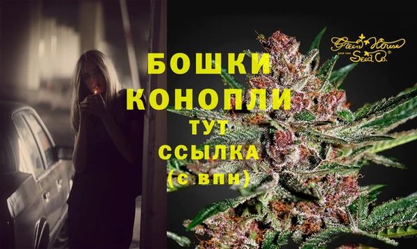 стаф Горно-Алтайск