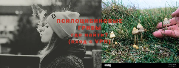 прущий лед Вязьма