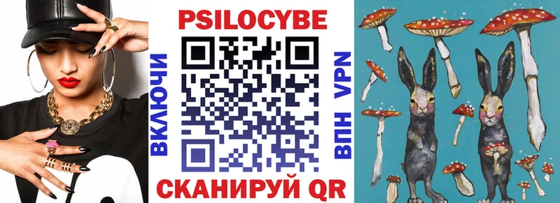 Псилоцибиновые грибы Cubensis  МЕГА tor  Чкаловск 